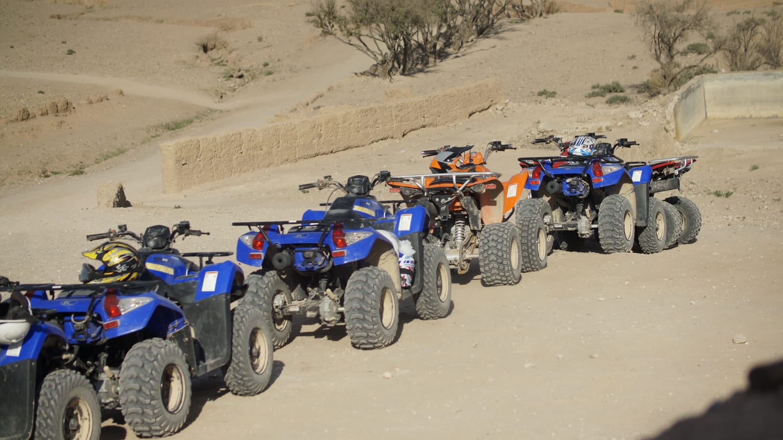 Quad Adventure