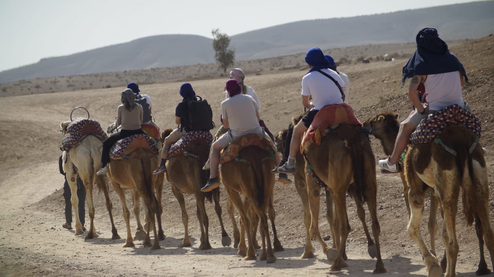 Camel Experience